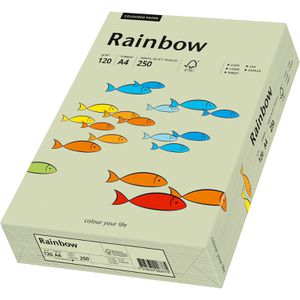 Produktbild für Kopierpapier Papyrus Rainbow 88042590