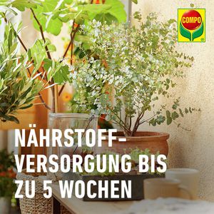 Produktbild für Blumenerde Compo Bio Zitruspflanzenerde