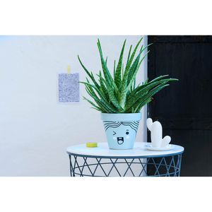 Produktbild für Lackmarker Edding 750