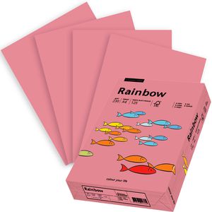 Produktbild für Kopierpapier Papyrus Rainbow 88376517