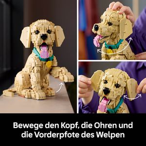 Produktbild für Klemmbausteine LEGO Icons 11384, ab 18 Jahre