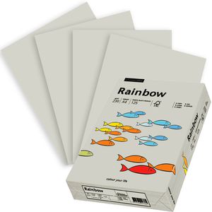 Produktbild für Kopierpapier Papyrus Rainbow 88376530