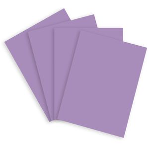 Produktbild für Kopierpapier Papyrus Rainbow 88042566