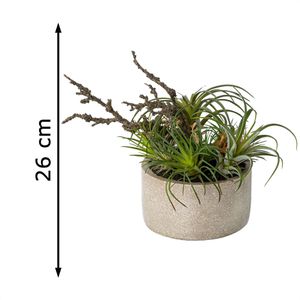 Produktbild für Kunstpflanze Creativ-green Tillandsien-Mix