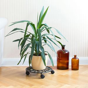 Produktbild für Pflanzenroller Relaxdays 10020117, bis 25 kg, Ø 33,5 cm