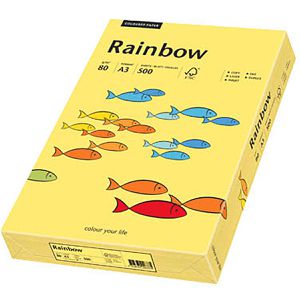 Produktbild für Kopierpapier Papyrus Rainbow 88042346