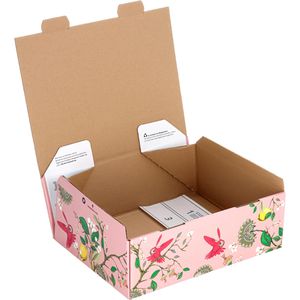 Produktbild für Faltkartons DeutschePost PACKSET Koolibris, Gr. M