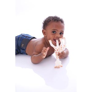 Produktbild für Motorikspielzeug Sophie-la-Girafe 101-000-009, Fresh Touch