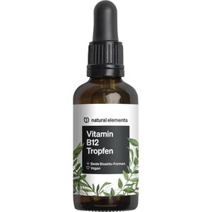 Produktbild für Vitamin-B natural-elements 50 ml, 900 Tropfen