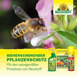Produktbild für Grundstoff Neudorff BioKraft Brennnessel, anwendungsfertig