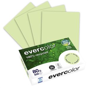 Kopierpapier Clairefontaine Evercolor, 40004C, A4