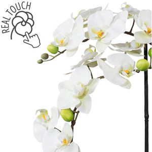 Produktbild für Kunstblume Creativ-green Orchidee, Phalaenopsis