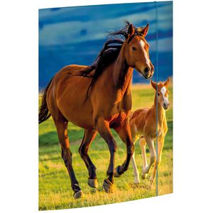 Zeichenmappe RNK 45353, Free Horses, A3