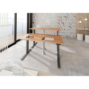 Produktbild für Schreibtisch Hammerbacher XDKB 19 nussbaum / graphit