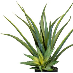 Produktbild für Kunstpflanze Creativ-green Aloe Vera