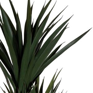 Produktbild für Kunstpflanze meet-powered-by-PAPERFLOW Yucca