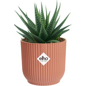 Produktbild für Übertopf elho Vibes Fold rund mini, zartrosa, Ø 7 x 7 cm