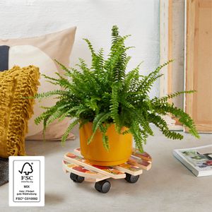 Produktbild für Pflanzenroller Wagner-System Your Style GH 0643, für innen