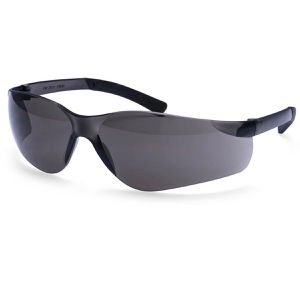 Schutzbrille Portwest Pan View, klar