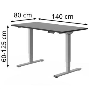 Produktbild für Schreibtisch FlexiSpot E5S, schwarz / grau