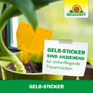 Produktbild für Gelbtafeln Neudorff Gelb-Sticker, 8 x 12,5 cm, zum Stecken