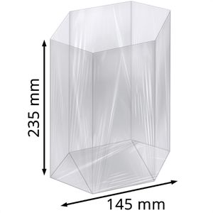 Produktbild für Geschenktüte Folia 482/00 neutral transparent