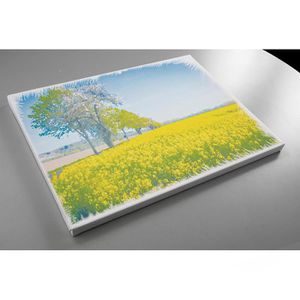 Produktbild für Keilrahmen Idena 60010, 50 x 60 cm