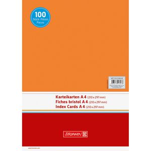 Produktbild für Karteikarten Brunnen 102240040, A4