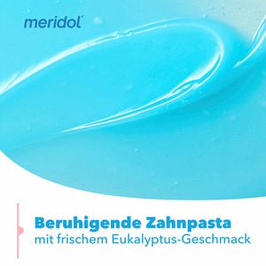Produktbild für Zahnpasta Meridol Rundumpflege