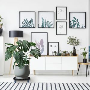 Produktbild für Pflanzenroller Relaxdays 10044786, für innen und außen