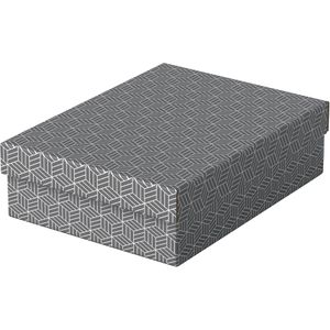 Produktbild für Aufbewahrungsbox Esselte Home M flach 628285, 9L
