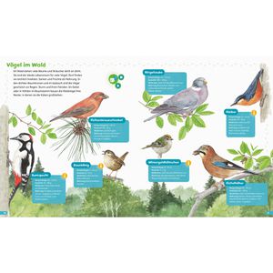 Produktbild für Spielbuch BOOKii 378867509 Hören und Staunen - Heimische Vögel