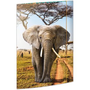 Produktbild für Zeichenmappe RNK 45378, Elefant, A3