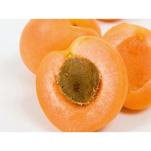 Produktbild für Fruchtaufstrich Alnatura Aprikose, BIO