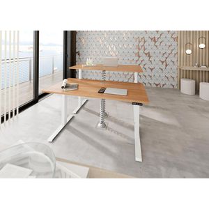 Produktbild für Schreibtisch Hammerbacher XDKB 19, nussbaum / weiß