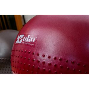 Produktbild für Gymnastikball Powershot Oko, mit Pumpe &amp; Noppen