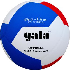 Volleyball gala-sport Pro-Line BV5125S