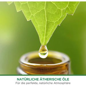 Produktbild für Raumduft Airwick Freshmatic Max, 250 ml