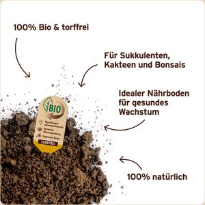 Produktbild für Blumenerde Substral Sukkulenten- &amp; Kakteenerde,Bio