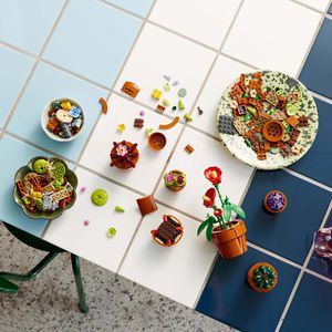 Produktbild für Klemmbausteine LEGO Icons 10329, ab 18 Jahre
