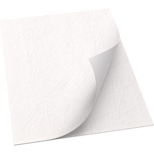 Renz Deckblätter A4, Lederkarton, 100 Stück, weiß , 100 Stück