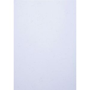Produktbild für Deckblätter Exacompta Forever 2784c, A4