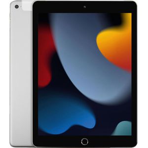 Tablet-PC Apple iPad 2021 MK493FD/A, LTE