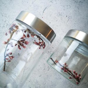 Produktbild für Vorratsglas Zeller 19916, mit Edelstahldeckel