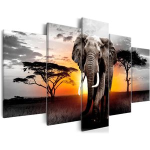 Produktbild für Wandbild Artgeist Elefant &amp; Sonne