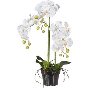 Produktbild für Kunstblume Creativ-green Orchidee, Phalaenopsis