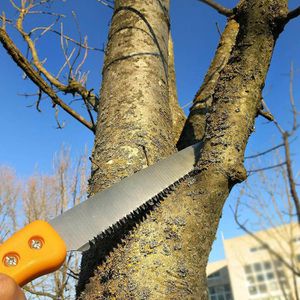 Produktbild für Astsäge Grüntek BARRAKUDA, Handsäge
