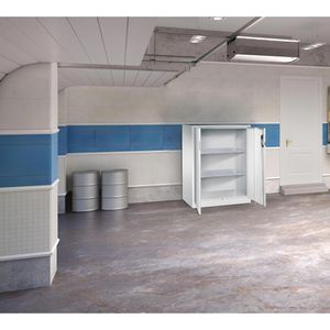 Produktbild für Werkzeugschrank CP-Möbel 8521-000, aus Metall, lichtgrau