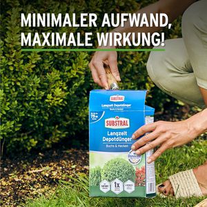 Produktbild für Dünger Substral Depotdünger für Buchs &amp; Hecken
