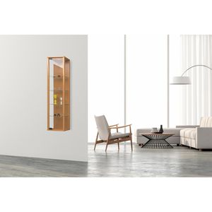 Produktbild für Glasvitrine VCM Stano Mini, hängend